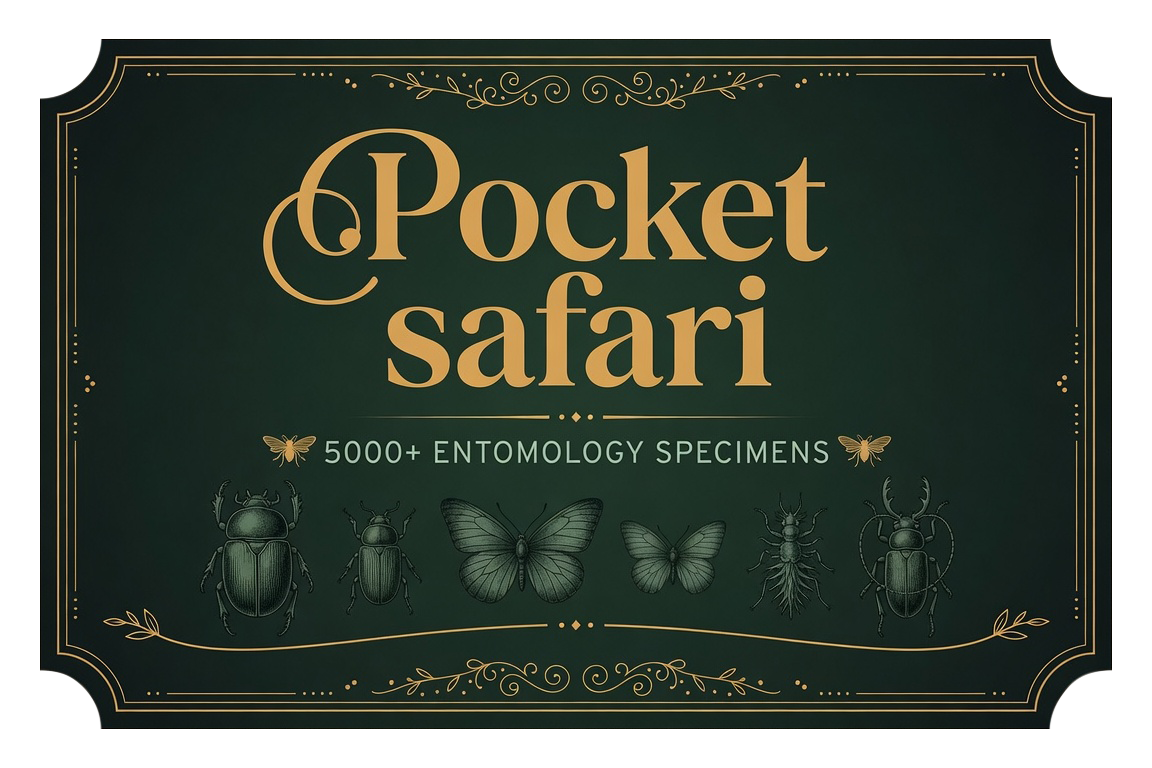 Pocket Safari — Northumberland invertebrate cards (VC67 + VC68)